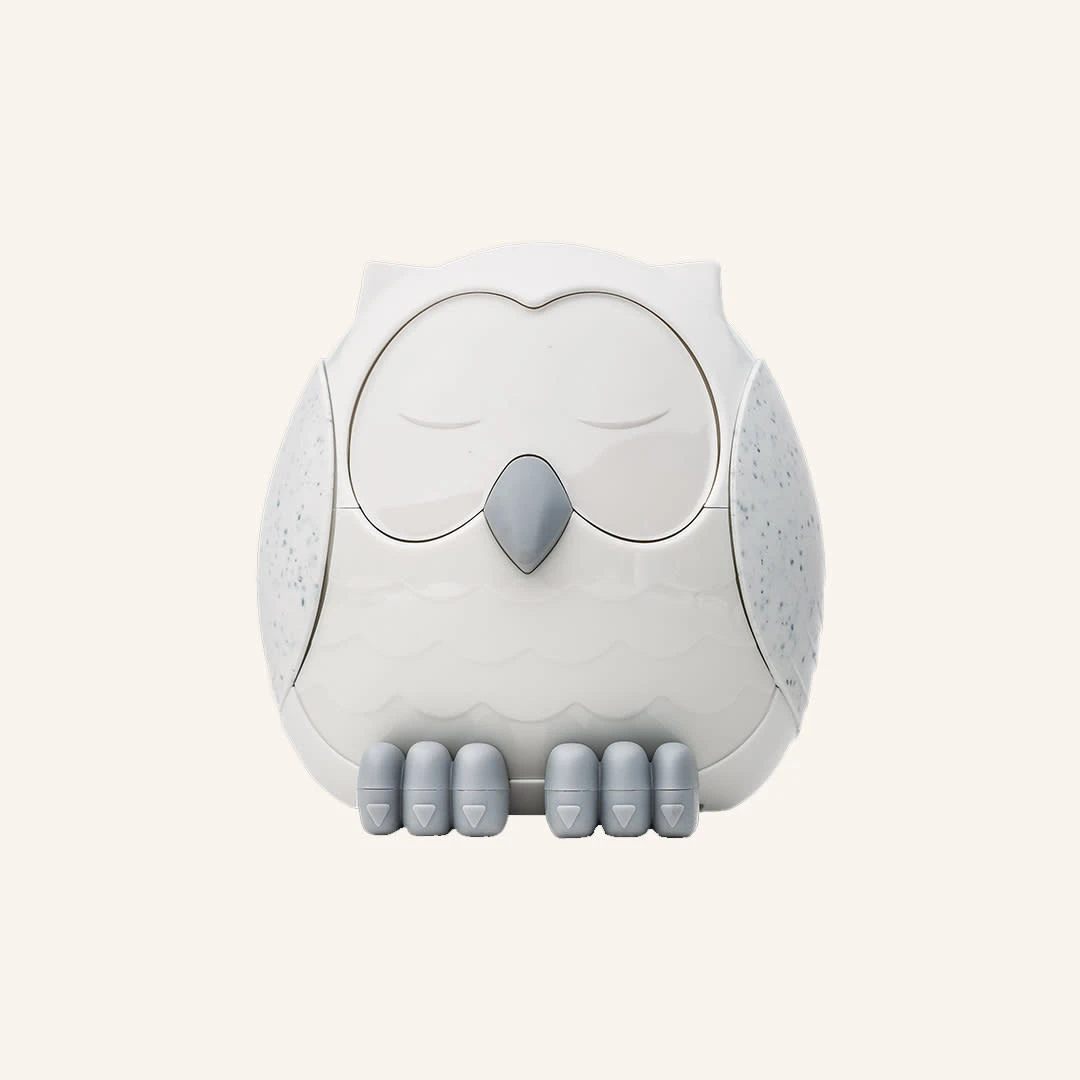 Colección De Difusor Y Aceites "Snowy The Owl"